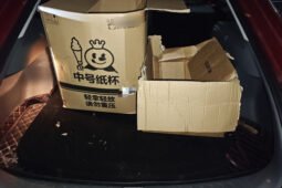 
										2019 Baojun RC-6 1.5T CVT 24h Online Luxury 49,400 km Used Sedan for Sale full									