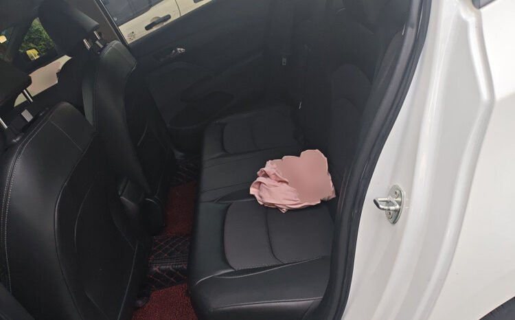 
								2019 Chevrolet Cavalier 320 Manual Xinyue 58,200 km Used Sedan for Sale full									