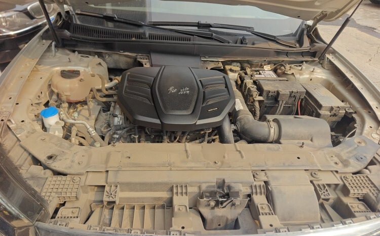 
								2019 Hongqi HS5 2.0T Zhilian Qixiang 4WD 111,800 km Used SUV for Sale full									