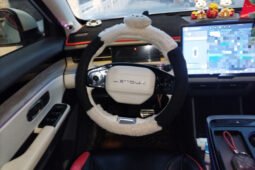 
										2022 Jetour Dasheng 1.6T DCT King MAX 45,400 km Used SUV for Sale full									