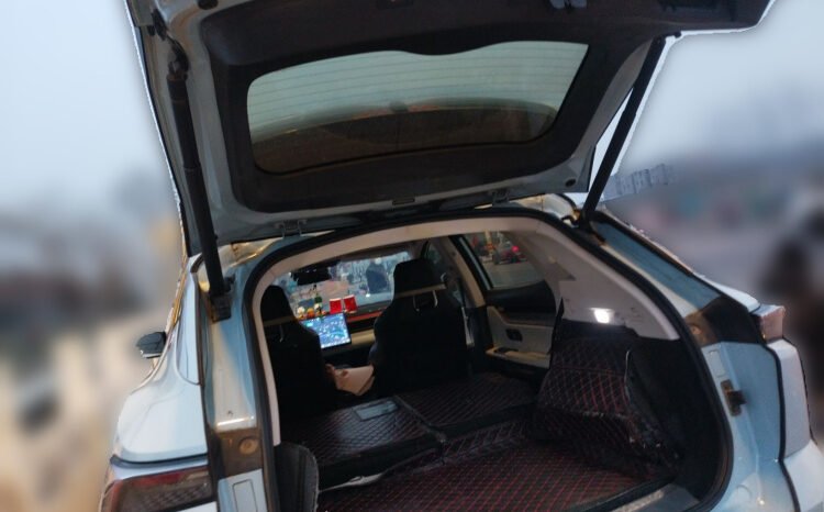 
								2022 Jetour Dasheng 1.6T DCT King MAX 45,400 km Used SUV for Sale full									