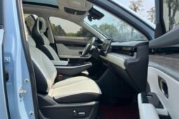 
										2022 Jetour Dasheng 1.6T DCT King MAX 45,400 km Used SUV for Sale full									