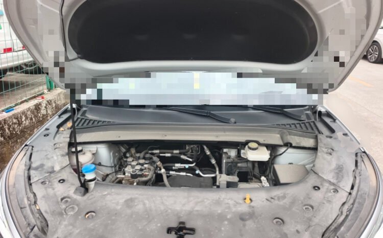 
								BYD Yuan PLUS 2023 Champion Edition 430KM Beyond – White SUV full									