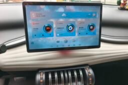 
										BYD Yuan PLUS 2023 Champion Edition 430KM Beyond – White SUV full									