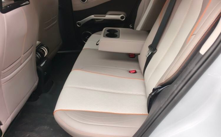 
								BYD Yuan PLUS 2023 Champion Edition 430KM Beyond – White SUV full									