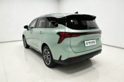 
										Dongfeng Forthing Youya 2022 1.5T DCT Zhuifeng Edition – Dark Green MPV full									