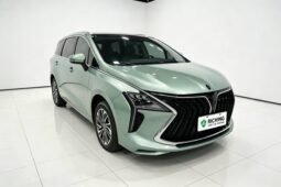 Dongfeng Forthing Youya 2022 1.5T DCT Zhuifeng Edition – Dark Green MPV