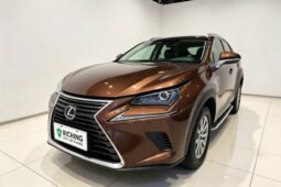 Lexus NX 2018 300 FWD Fengxing Edition – Brown Luxury SUV
