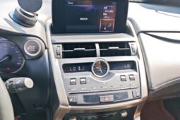 
										Lexus NX 2018 300 FWD Fengxing Edition – Brown Luxury SUV full									