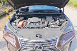 
										Lexus NX 2018 300 FWD Fengxing Edition – Brown Luxury SUV full									