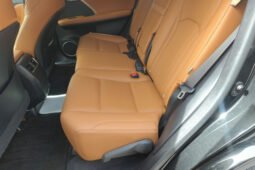 
										Lexus RX 2020 450h AWD Pure Enjoyment Edition – Black Luxury SUV full									