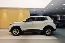 
										Used 2019 Chery Tiggo 5x 1.5L Manual – 40.9k km, Budget Compact SUV full									