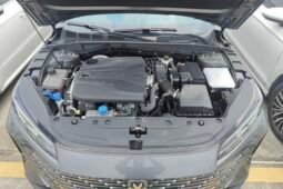 
										Used 2024 Changan Eado 1.5T GDI AT Premium  Low Mileage  For Export full									