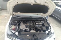 
										Toyota Corolla 2021 1.2T Elite PLUS Edition – White Sedan full									